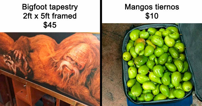 People Are Selling The Most Bizarre Things Online And Here Are 85 Listings That Are Just Wild