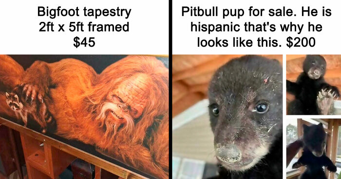 People Are Selling The Most Bizarre Things Online And Here Are 85 Listings That Are Just Wild