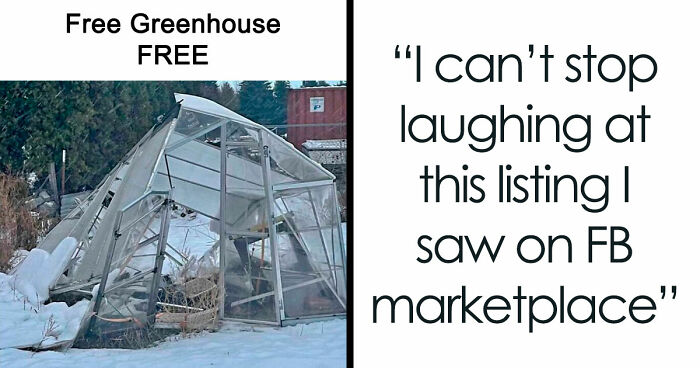 People Are Selling The Most Bizarre Things Online And Here Are 85 Listings That Are Just Wild