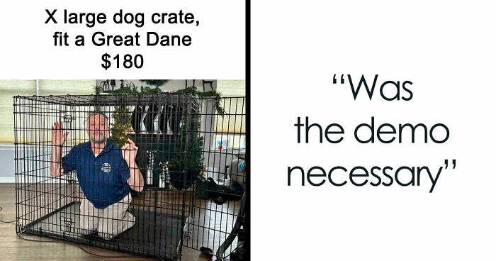 People Are Selling The Most Bizarre Things Online And Here Are 85 Listings That Are Just Wild