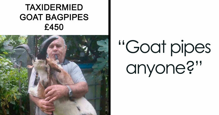 People Are Selling The Most Bizarre Things Online And Here Are 85 Listings That Are Just Wild