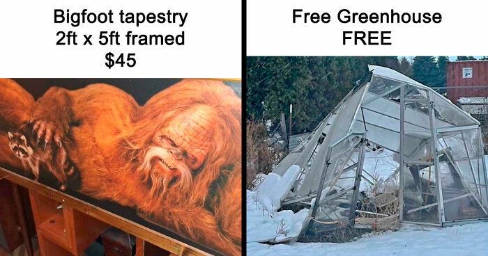 People Are Selling The Most Bizarre Things Online And Here Are 85 Listings That Are Just Wild