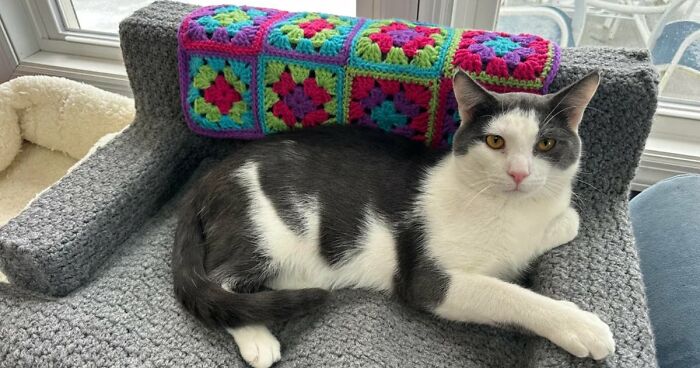 “Took Around 110 Hours”: 83 Times People Crocheted Something Awesome And Wowed The Internet (New Pics)