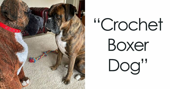 “Took Around 110 Hours”: 83 Times People Crocheted Something Awesome And Wowed The Internet (New Pics)