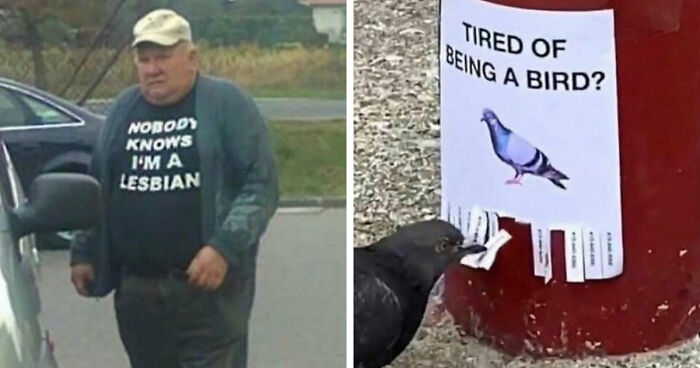 49 Cursed Images That Confuse, Creep, And Amuse In Equal Measure