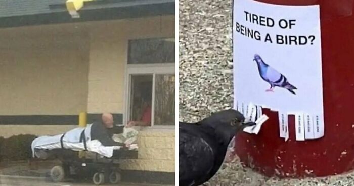 49 Cursed Images That Confuse, Creep, And Amuse In Equal Measure