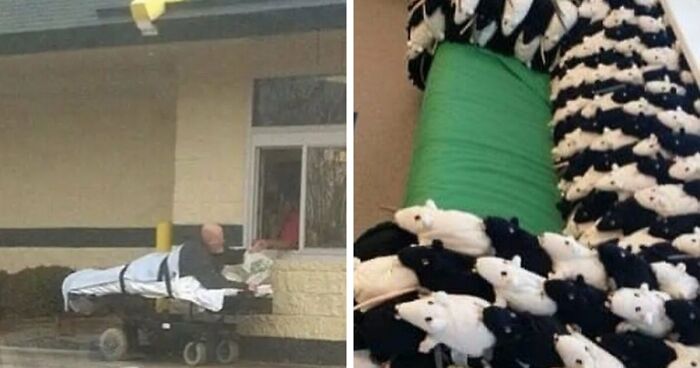 49 Cursed Images That Confuse, Creep, And Amuse In Equal Measure