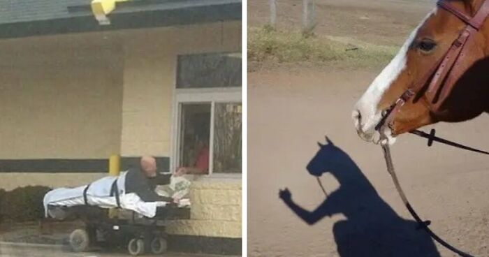 49 Cursed Images That Confuse, Creep, And Amuse In Equal Measure