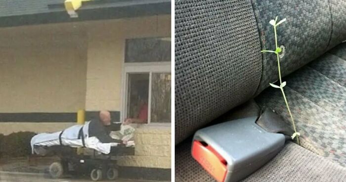 49 Cursed Images That Confuse, Creep, And Amuse In Equal Measure