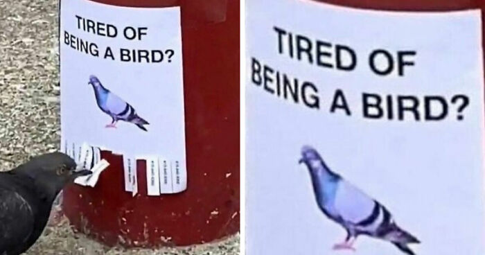 49 Cursed Images That Confuse, Creep, And Amuse In Equal Measure