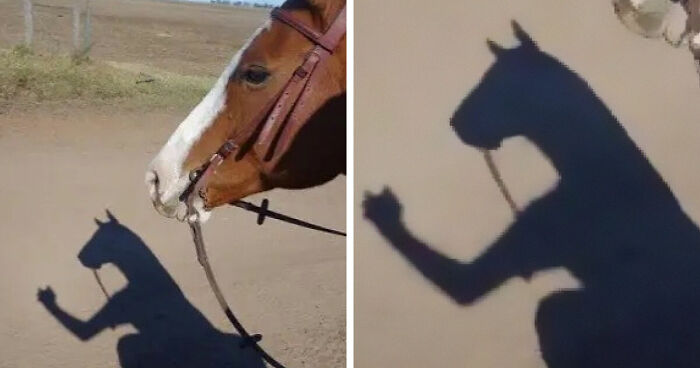 49 Cursed Images That Confuse, Creep, And Amuse In Equal Measure