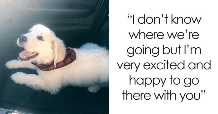 49 Heartwarming Posts That Might Inject Some Much-Needed Positivity Into Your Life