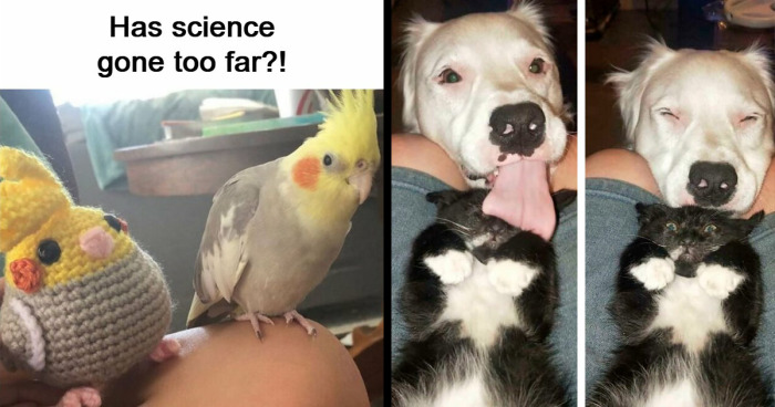 49 Heartwarming Posts That Might Inject Some Much-Needed Positivity Into Your Life