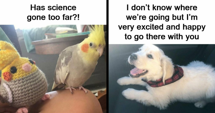 49 Heartwarming Posts That Might Inject Some Much-Needed Positivity Into Your Life