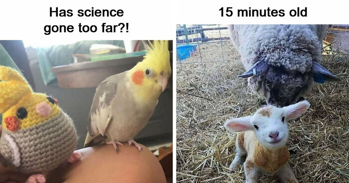 49 Heartwarming Posts That Might Inject Some Much-Needed Positivity Into Your Life