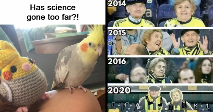 49 Heartwarming Posts That Might Inject Some Much-Needed Positivity Into Your Life