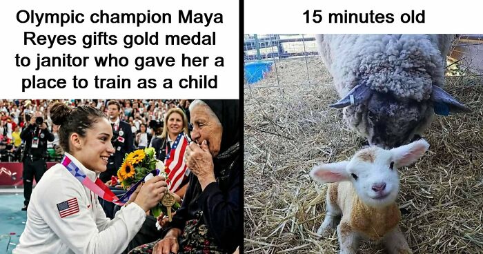 49 Heartwarming Posts That Might Inject Some Much-Needed Positivity Into Your Life