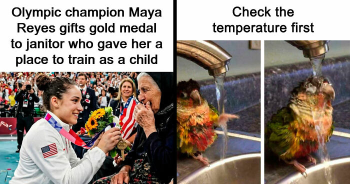 49 Heartwarming Posts That Might Inject Some Much-Needed Positivity Into Your Life