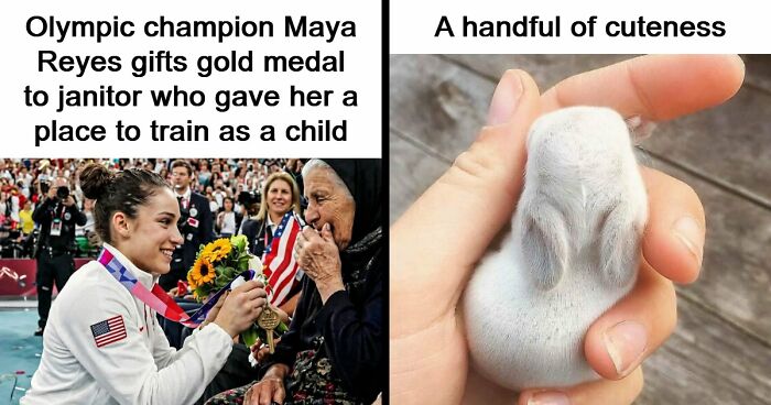 49 Heartwarming Posts That Might Inject Some Much-Needed Positivity Into Your Life