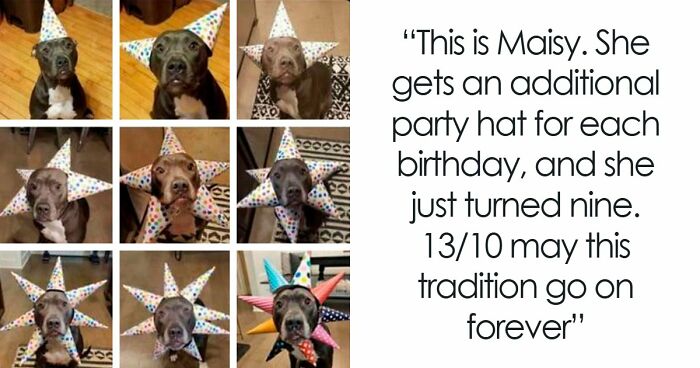 49 Heartwarming Posts That Might Inject Some Much-Needed Positivity Into Your Life