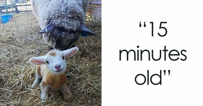 49 Heartwarming Posts That Might Inject Some Much-Needed Positivity Into Your Life