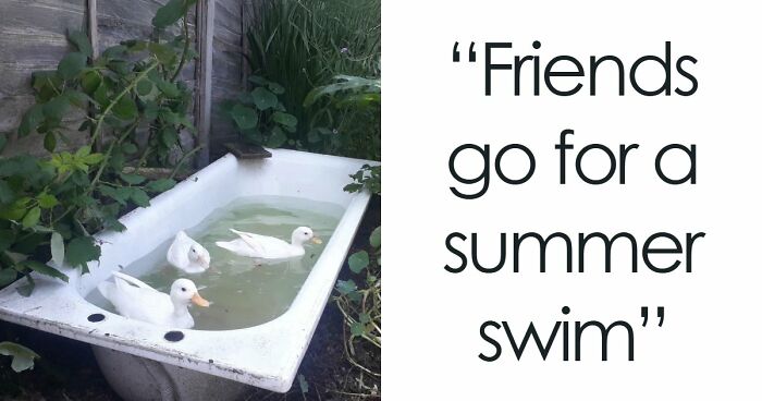 49 Heartwarming Posts That Might Inject Some Much-Needed Positivity Into Your Life