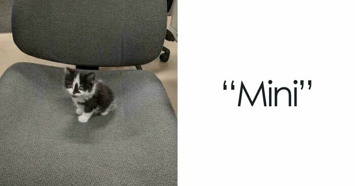 49 Heartwarming Posts That Might Inject Some Much-Needed Positivity Into Your Life