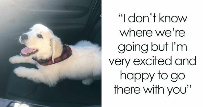49 Heartwarming Posts That Might Inject Some Much-Needed Positivity Into Your Life