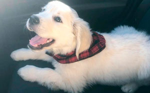 49 Heartwarming Posts That Might Inject Some Much-Needed Positivity Into Your Life