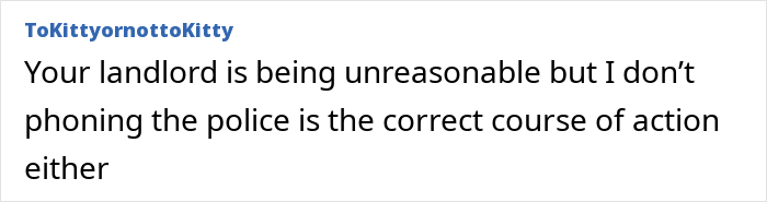 Tenant Mortified After Noticing Landlady Removes Her Bird Feeders, Considers Involving Police