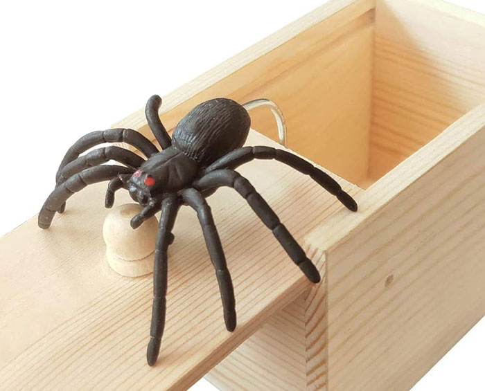 “Acho que minha filha de 5 anos pode ser uma psicopata”: papai leva o susto da vida