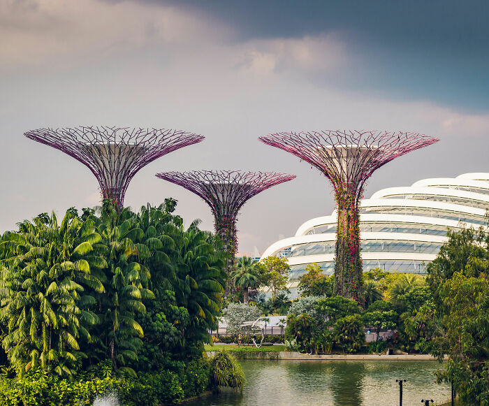 French Teenager Faces Jail In Singapore After Posting Video Of His "Disgusting" Vending Machine Prank