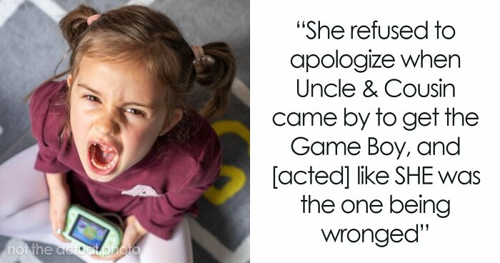 “Entitled” 10YO Steals Cousin’s Game Boy, Mom Decides To Teach Her A Painful Life Lesson