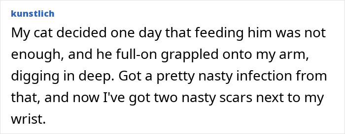 Text excerpt about a cat causing an injury leading to infection and scars, illustrating a stupid injury story.