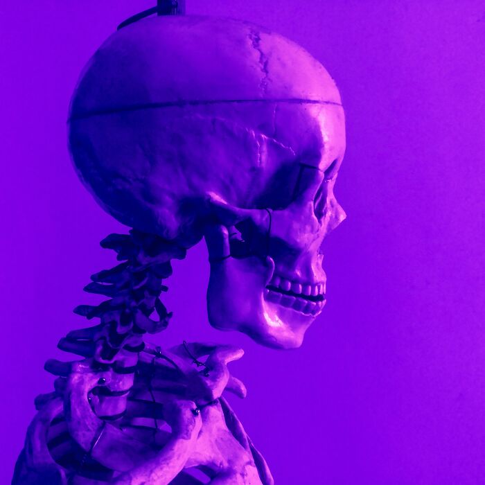 Side view of a human skeleton model with a purple light highlighting its bones, representing horrifying historical facts.