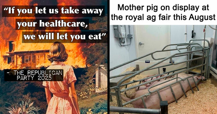 These 75 Screenshots Show How Dystopic Our Society Already Is, And It’s Terrifying (New Pics)