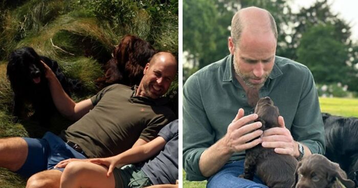 “Insult To Women”: Oxford Lecturer Sparks Outrage Over Controversial Attire Featuring Fake Breasts