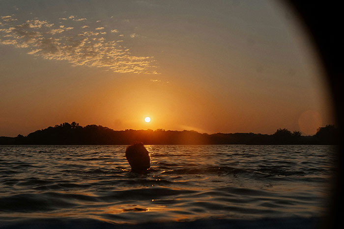 A person's head barely visible above water at sunset. Medical professionals share emotional patient stories.