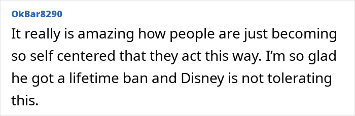 Fã da Disney World levou um tapa no Ultimate Karma depois de cortar a fila para tirar uma foto com o personagem