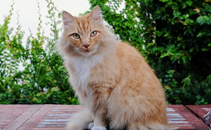 59 Of The Most Disrespectful Guests These People Had The “Pleasure” Of Hosting