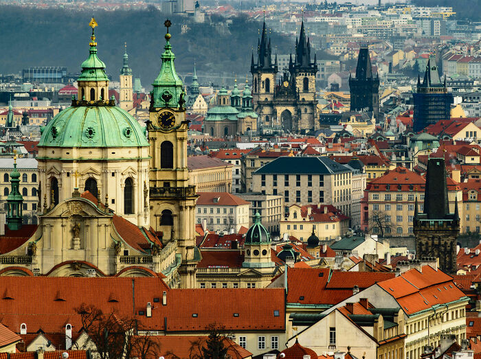 Internautas atacam brutalmente uma mulher por fugir dos EUA para escapar do pagamento do empréstimo estudantil