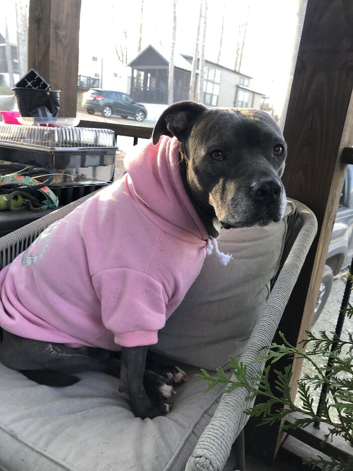 51 Absurd Examples Of Fragile Masculinity That People Didn’t Know Could Exist