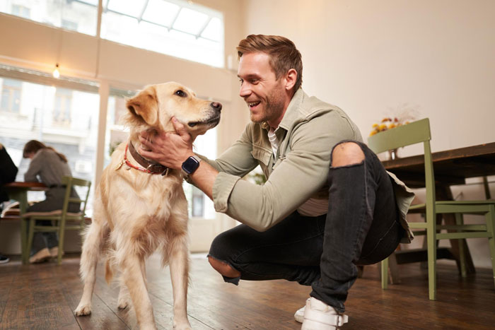 Man kneeling and petting a golden retriever indoors, highlighting a scene involving a dog and an animal-lover coworker.
