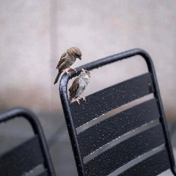 35 Brilliantly Timed Shots From The Decisive Moments Magazine That Capture Life At Exactly The Right Second