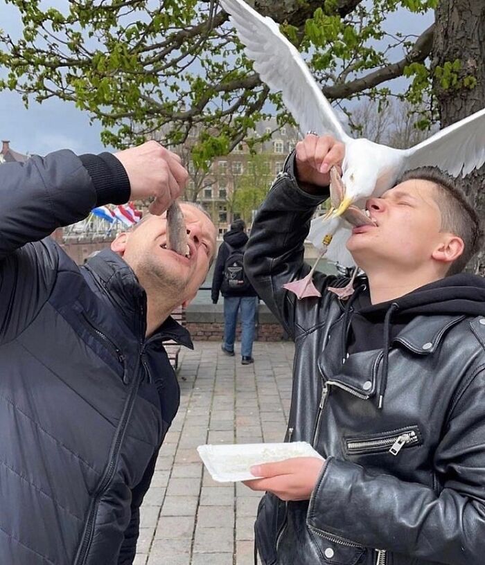 35 Brilliantly Timed Shots From The Decisive Moments Magazine That Capture Life At Exactly The Right Second