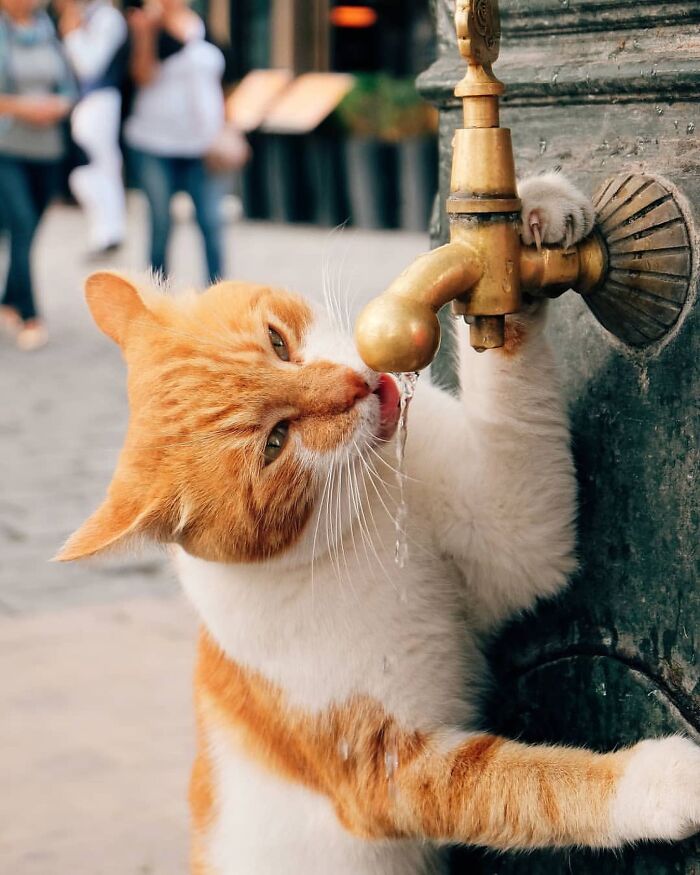 35 Brilliantly Timed Shots From The Decisive Moments Magazine That Capture Life At Exactly The Right Second