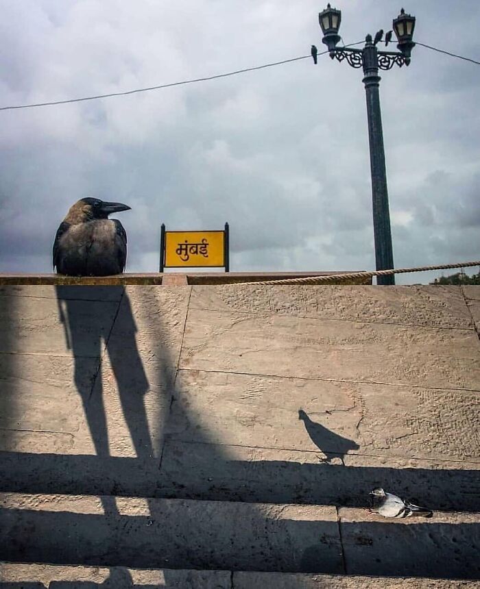 35 Brilliantly Timed Shots From The Decisive Moments Magazine That Capture Life At Exactly The Right Second