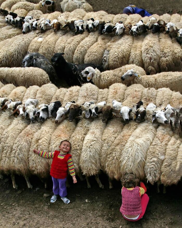 35 Brilliantly Timed Shots From The Decisive Moments Magazine That Capture Life At Exactly The Right Second