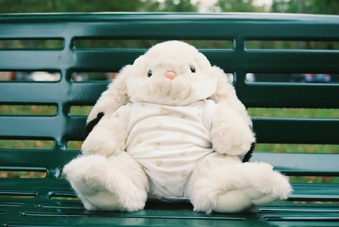 Plush bunny toy sitting on a green park bench, representing unusual items TSA has had to confiscate.