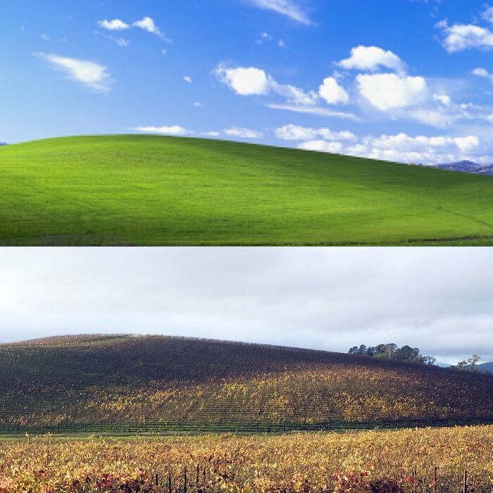 Bright green hill under a blue sky with clouds contrasted by a shadowed vineyard hill at sunrise in a rural landscape.